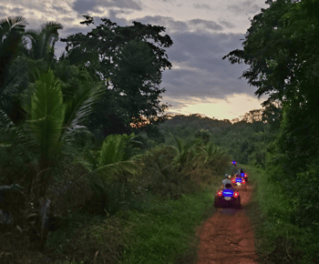 From San Ignacio: ATV Expedition to El Pilar Maya Ruins