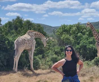 Addo Elephant Park and Giraffe Walk Full Day Safari
