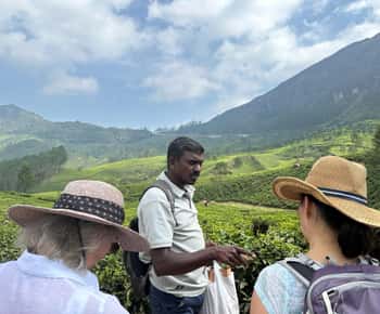 Munnar: Ruta del Té, Fábrica de Té y Degustación de Té