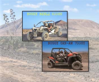 Fuerteventura: Dune Buggy-tur i norra Fuerteventura