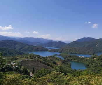 Desde Taipei: Lago de las Mil Islas y Plantación de Té Pinglin