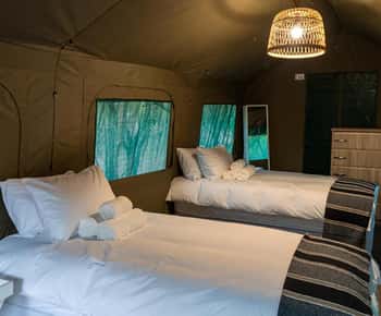Aventura econômica de 4 dias no Kruger Glamping