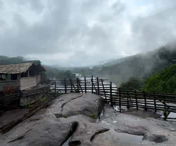 Desde Kochi: Excursión de un día a las Cascadas de Athirappilly con traslados