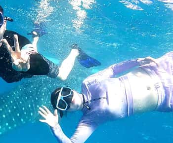 Cebu: Whale Shark Swim, Kawasan Falls & Moalboal Sardine Run