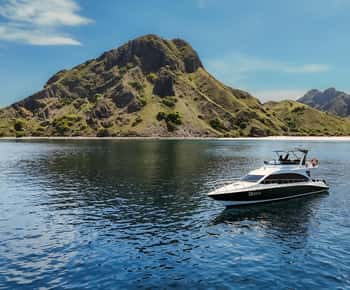 Komodo Full Day Speedboat Tour from Labuan Bajo