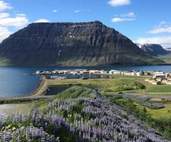 Ísafjörður: Excursión al pueblo de Flateyri: Naturaleza, Cultura, Historia