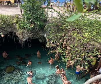 Zanzibar: Jozani Forest & Sea Tortoises Sanctuary Tour