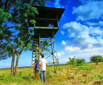 De Banyuwangi: Safári de vida selvagem em Baluran ao pôr do sol