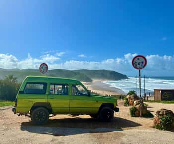 Safari de jipe de dia inteiro no sudoeste com almoço incluído