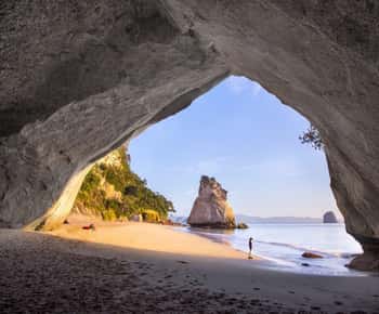 Prywatna wycieczka z Auckland do Cathedral Cove i Hot Water Beach