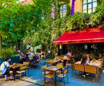 Tbilisi: Left Bank Alternative Street Food Tour with Drinks