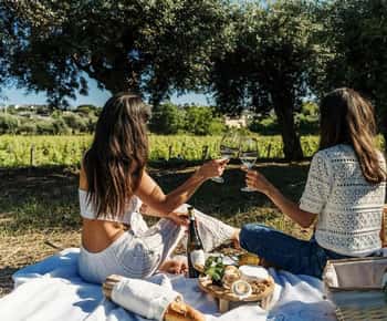 Ischia: Weinbergstour & Weinverkostung mit Transfers