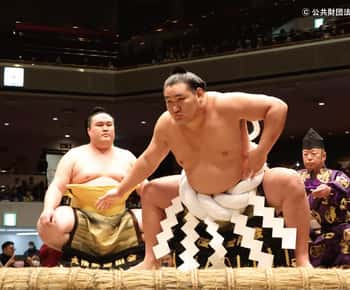 Tokyo: Grand Sumo Tournament Viewing (September, 2025)