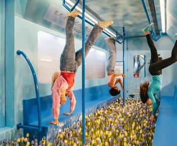 Ingresso para o Museu The Upside Down