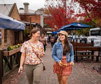 Desde Adelaida: Excursión a Adelaida Hills, Hahndorf y Mount Lofty