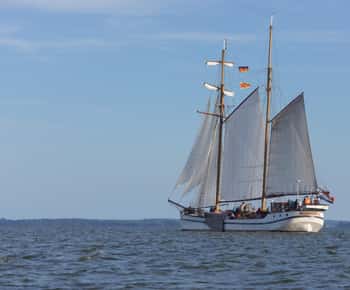 Usedom: Passeio de barco em um navio alto exclusivo Quarta-feira