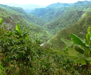 Private Jeep Tour to the Surroundings of San Agustín