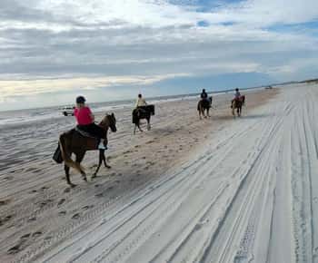 Amelia Island: Beach Horseback Riding Adventure
