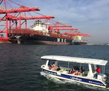 Durban: Cruzeiro de 30 minutos de barco no porto