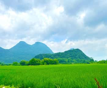 Guilin: Excursão de meio dia para explorar a Caverna Yanzi