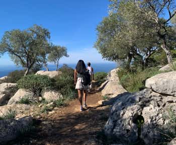 Från Palma: Valldemossa-tur och vandring till utsiktsplats i bergen