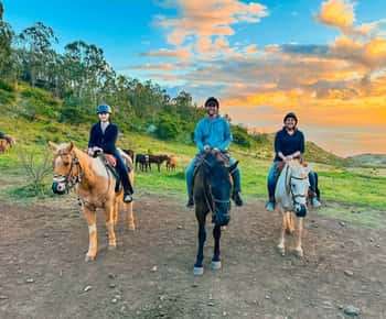 Oahu: Horseback Riding Sunshine or Sunset Tour