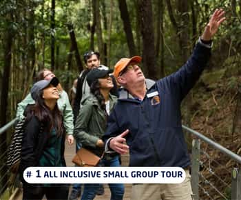 Sydney: Excursão às Blue Mountains com almoço*, cruzeiro e opções