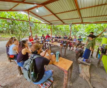 La Fortuna: North Fields Coffee and Chocolate Tour