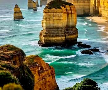 De Melbourne: Great Ocean Road & 12 Apostles Wild Day Tour