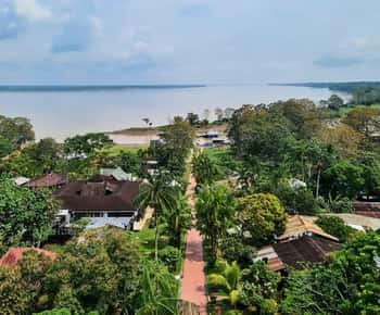 Puerto Nariño: Three days Amazon guided Tour