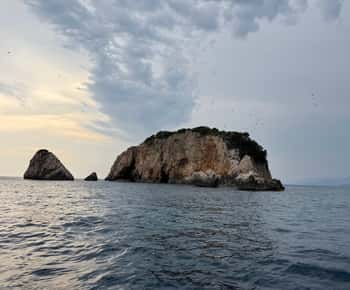 Ulcinj: Adriatic Sea Boat Tour with Fish Picnic