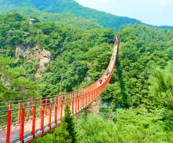 Von Seoul aus: DMZ Der 3. Tunnel und die Hängebrücke Tour