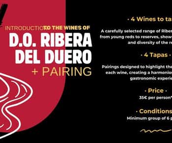Ribera del Duero: Wine Tasting with Tapas Pairing