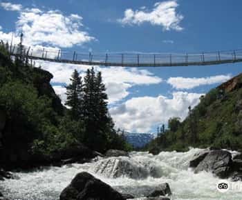 Da Skagway: Tour del White Pass e del Ponte Sospeso dello Yukon