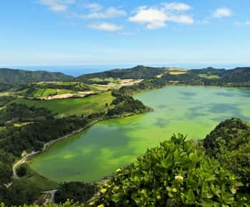 Furnas: Tea Plantations, Lake and Volcano Guided Tour