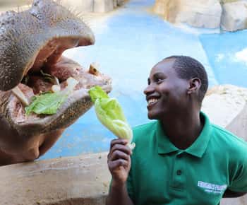 Ingresso para o Emirates Park Zoo
