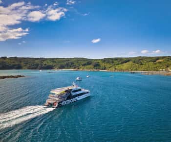 Auckland: Tiritiri Matangi Island Ferry