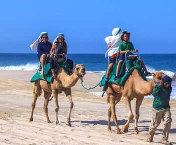 Agadir/Taghazout : Giro in quad e in cammello sulla spiaggia