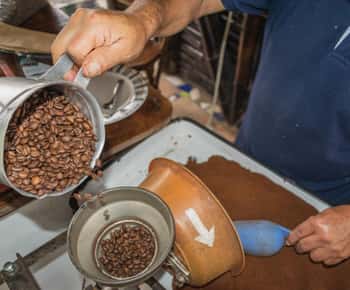 Private Tour in an Authentic, Ecological Local Coffee Finca