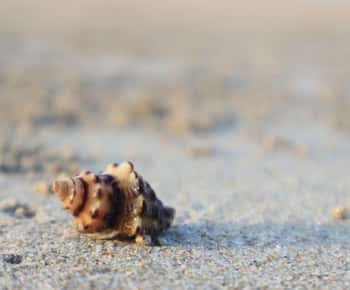 Johor: Vida na praia de Desaru e descoberta de piscinas naturais
