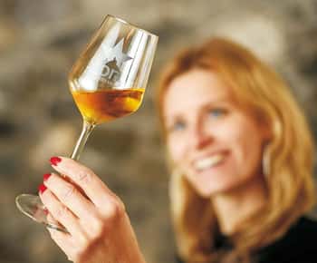 Sion: Sion Wine Tour - Weinverkostung und geführte Tour