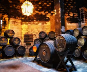 Jerez: Bodegas Fundador Guided Tour with Tasting Session