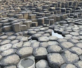 Belfast: Excursão de navio de cruzeiro guiada pela Calçada dos Gigantes