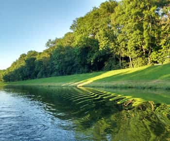 Leipzig: Passeio de barco a motor em Auwald com duração de 2 horas