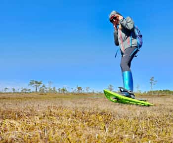 Ķemeri Bogs Adventure: Explore Wetlands In Bog Shoes