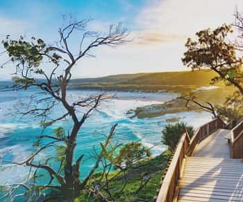 North Stradbroke-sziget: bálnák, vadvilág és strandok egynapos kirándulás