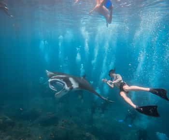 Nusa Penida: mergulho com snorkel em 3 locais com GoPro e caiaque nos manguezais