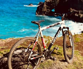 South Discovery Eco Tour med cykeltur och picknicklunch