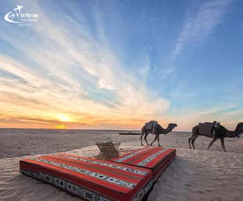 Djerba: Berber Adventure, Dunes and Starry Nights+Sandboard