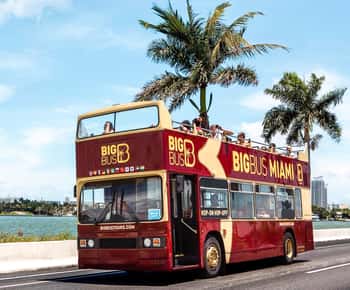 Miami: Hop-on Hop-off Sightseeing Tour with Optional Cruise